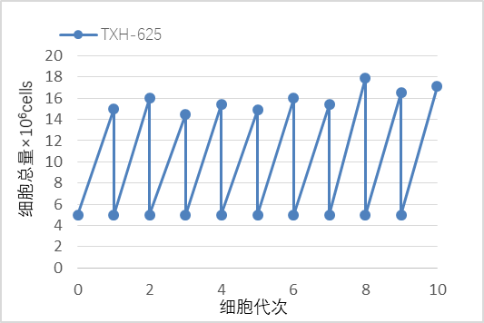 天信和Vero細胞無血清培養基